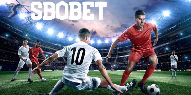 Hướng dẫn chi tiết chơi cá độ bóng đá sbobet Sanclub