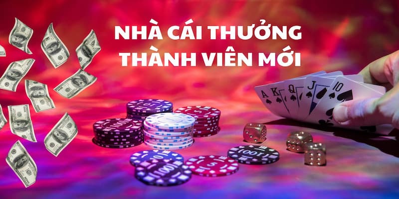 Điều kiện để nhận khuyến mãi Sanclub cực dễ